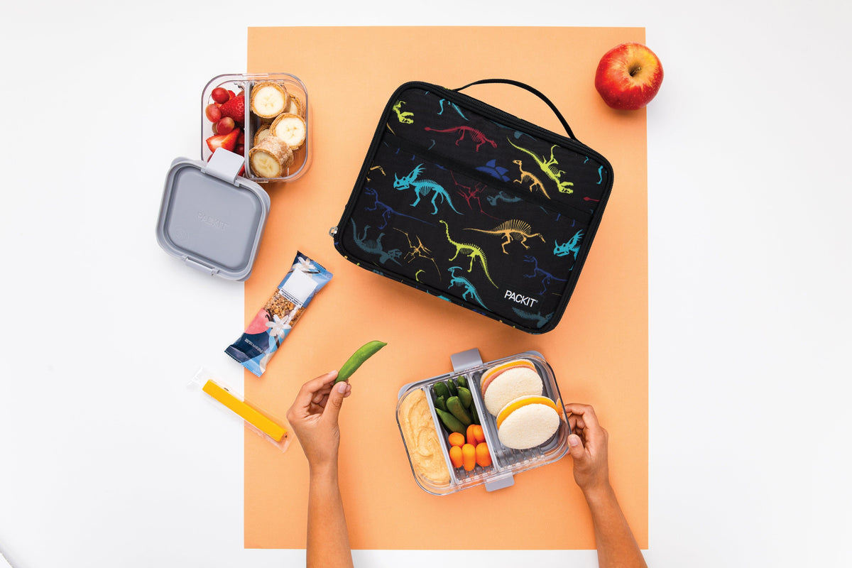 freezable-lunch-box-limited-edition-h2 2022_Lifestyle_Lunch-Box_Dino_Fossils_Hires.jpg